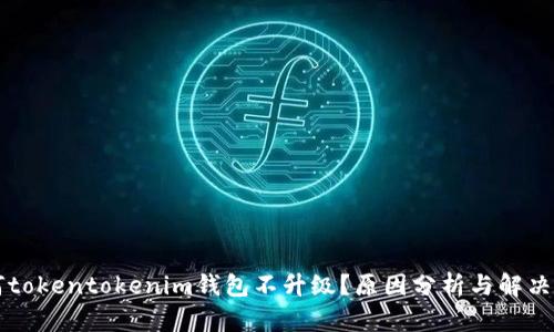 为何tokentokenim钱包不升级？原因分析与解决方案