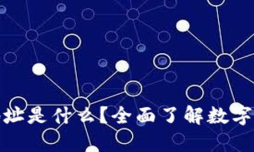 数字货币钱包地址是什么？全面了解数字货币的资产管理