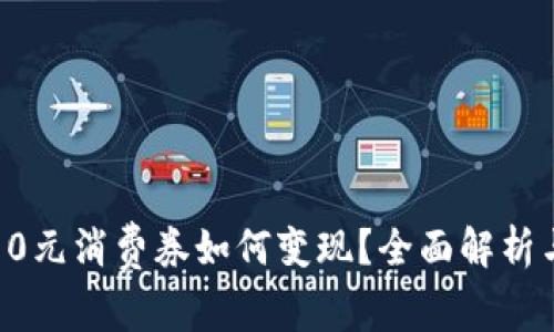 数字钱包10元消费券如何变现？全面解析与实用技巧