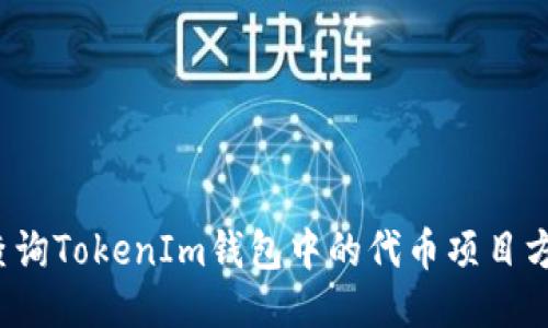 如何查询TokenIm钱包中的代币项目方信息？