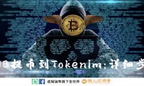 如何将抹茶BNB提币到Tokenim：详细步骤与注意事项