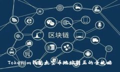 Tokenim钱包太空币地址转正的全攻略