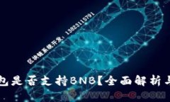 比特派钱包是否支持BNB？全面解析与使用指南