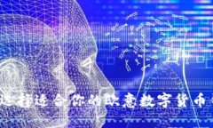 如何选择适合你的欧意数字货币钱包？