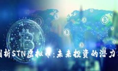 深入剖析STN虚拟币：未来投资的潜力与风险