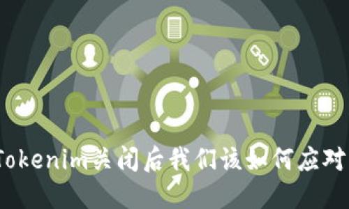 Tokenim关闭后我们该如何应对？