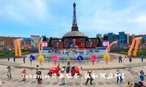 Tokenim停止服务，该如何应对？