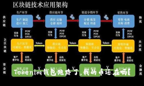 Tokenim钱包跑路了，我的币还在吗？