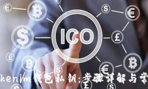   
如何找回Tokenim钱包私钥：步骤详解与常见问题解析