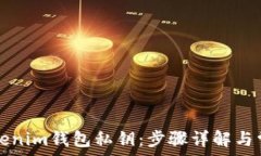   如何找回Tokenim钱包私钥：步骤详解与常见问题