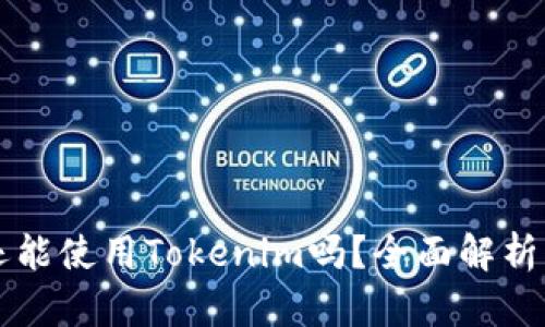 大陆用户还能使用Tokenim吗？全面解析及使用指南