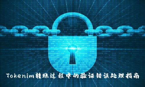 Tokenim转账过程中的验证错误处理指南