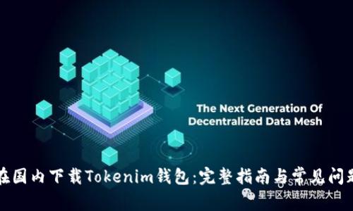 如何在国内下载Tokenim钱包：完整指南与常见问题解答