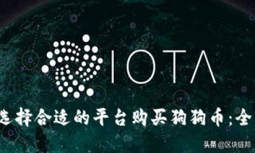  如何选择合适的平台购买狗狗币：全面指南