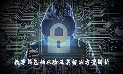 数字钱包的风险及其解决方案解析