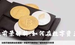 Tokenim钱包的风投前景解析：如何在数字资产时代