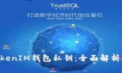 什么是TokenTokenIM钱包私钥：全面解析及安全使用