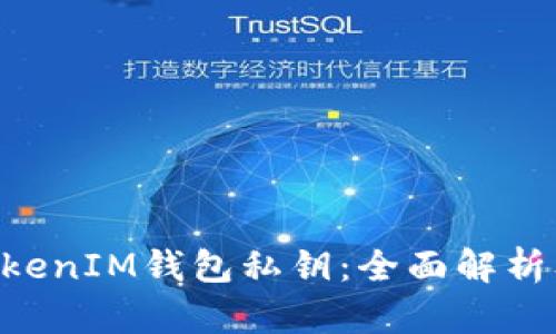 什么是TokenTokenIM钱包私钥:全面解析及安全使用指南
