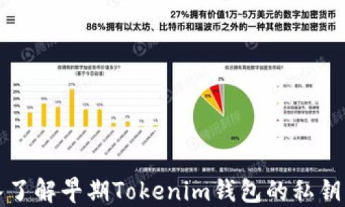 
深入了解早期Tokenim钱包的私钥管理