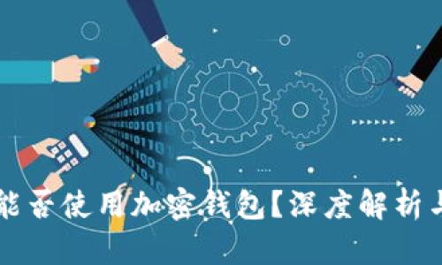 中国用户能否使用加密钱包？深度解析与使用指南