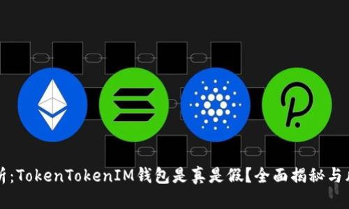 深入分析：TokenTokenIM钱包是真是假？全面揭秘与风险防范