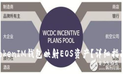 如何通过TokenTokenIM钱包映射EOS资产？详细指南与常见问题解答