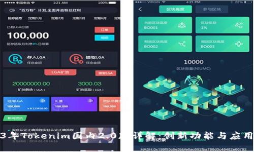 2023年Tokenim国内2.0版详解：创新功能与应用前景