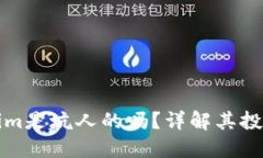 ### Tokenim是坑人的吗？详解其投资风险与机会