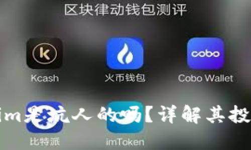 ### Tokenim是坑人的吗？详解其投资风险与机会