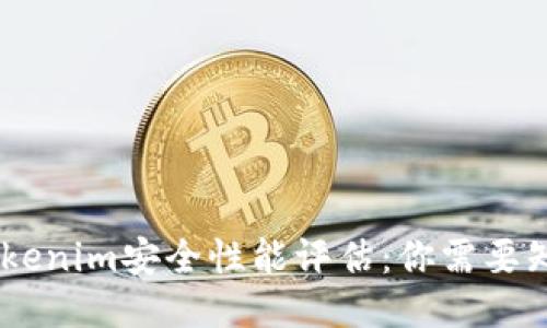briaotiTokenim安全性能评估：你需要知道的一切