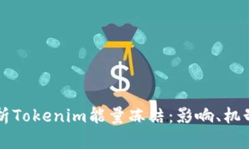 深入解析Tokenim能量冻结：影响、机制与应用
