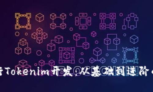 如何进行Tokenim开发：从基础到进阶的全攻略