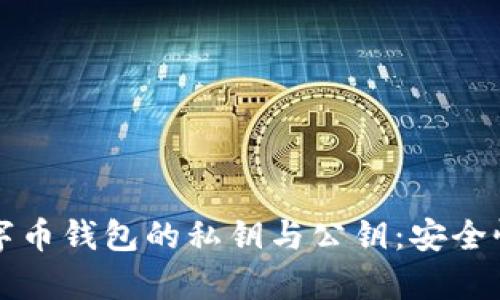 全面解析数字币钱包的私钥与公钥：安全性与使用指南