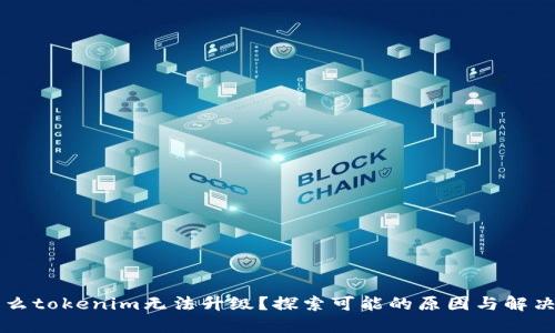 为什么tokenim无法升级?探索可能的原因与解决方案