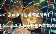 在国内,虚拟币钱包有哪些可选?了解国内主流
