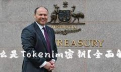 ### 什么是Tokenim密钥?全面解析与应用