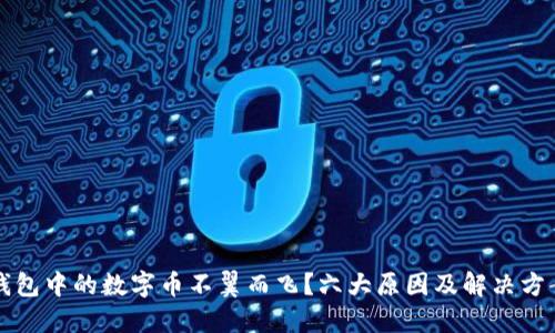 虚拟钱包中的数字币不翼而飞？六大原因及解决方案探讨