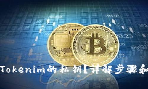 如何查看Tokenim的私钥?详解步骤和注意事项