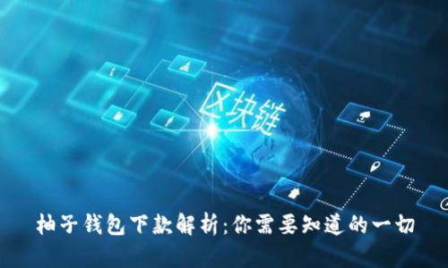柚子钱包下款解析：你需要知道的一切