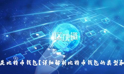 什么是比特币钱包？详细解析比特币钱包的类型和选择