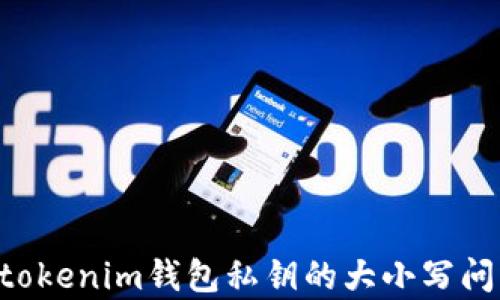 
Tokentokenim钱包私钥的大小写问题解析