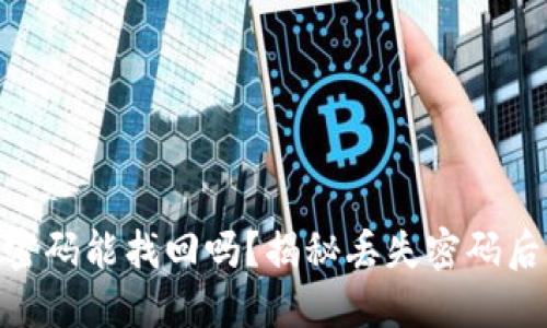 MetaMask密码能找回吗？揭秘丢失密码后的解决方案