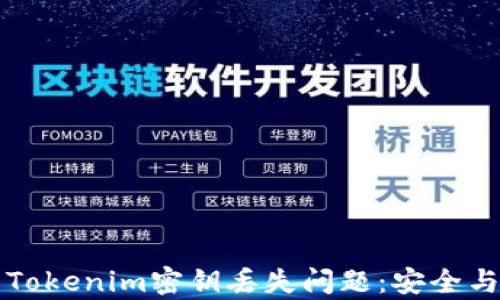 
如何处理Tokenim密钥丢失问题：安全与恢复指南