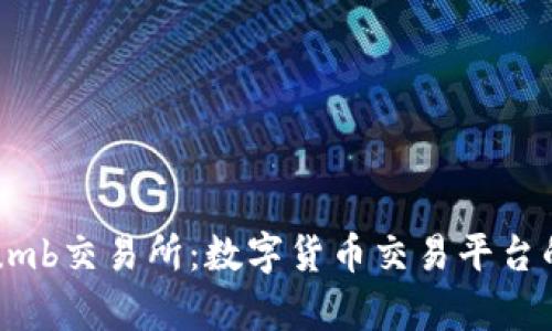 详解Bithumb交易所：数字货币交易平台的全面分析