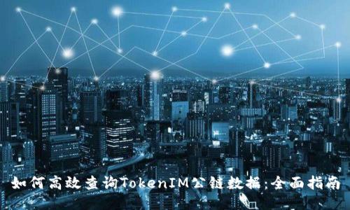 如何高效查询TokenIM公链数据：全面指南