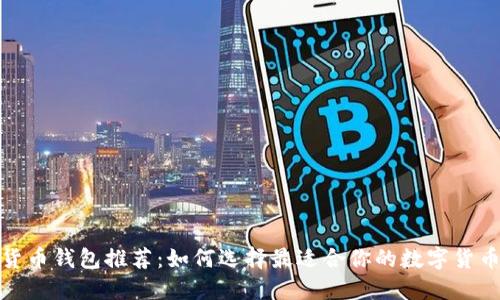 数字货币钱包推荐：如何选择最适合你的数字货币钱包
