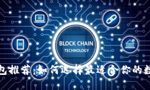 数字货币钱包推荐：如何选择最适合你的数字货币钱包