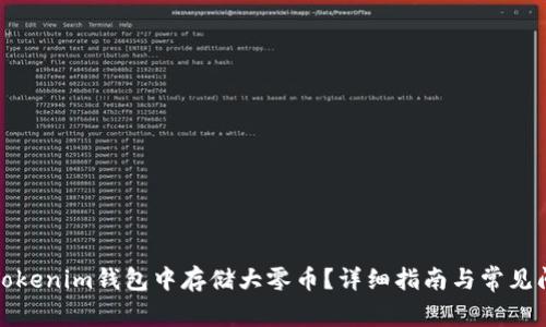 如何在Tokenim钱包中存储大零币？详细指南与常见问题解答