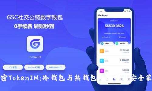 解密TokenIM：冷钱包与热钱包的选择与安全策略