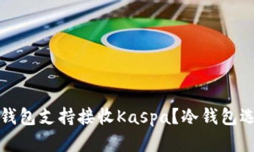 哪种冷钱包支持接收Kaspa？冷钱包选择指南